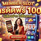 member slotเครดิตฟรี